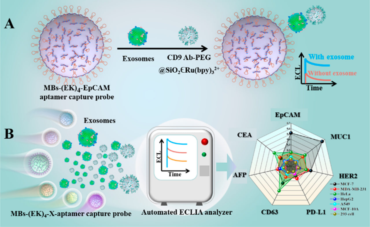 کاربردهای روش الکترو کمی لومینسانس