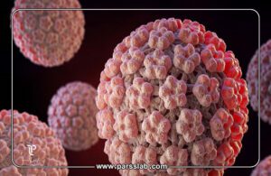 HPV