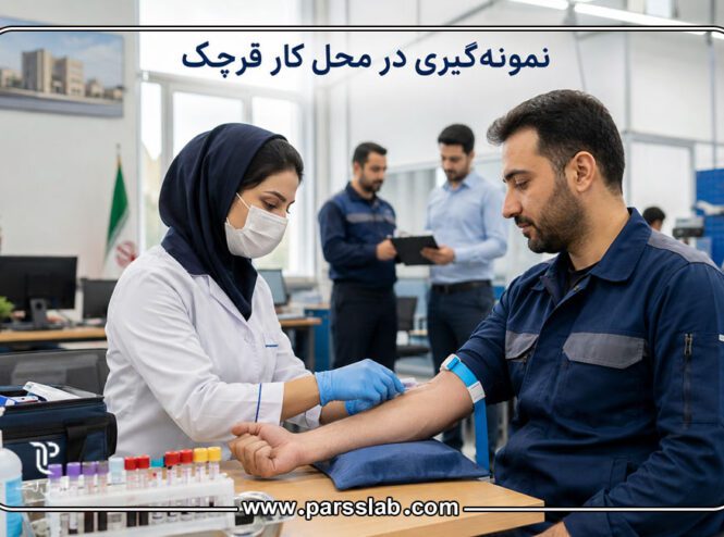 نمونه‌گیری-در-محل-کار-قرچک