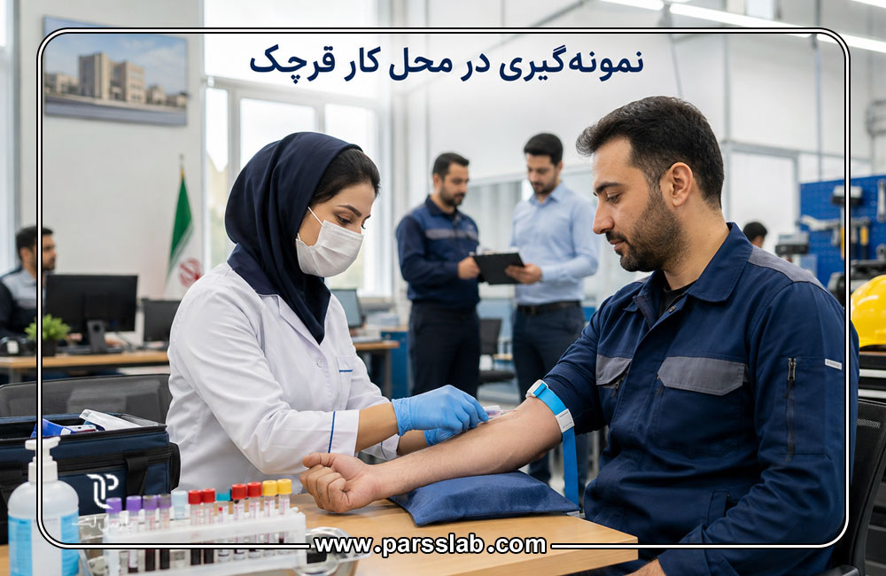 نمونه‌گیری-در-محل-کار-قرچک
